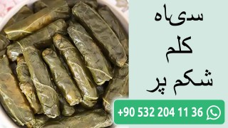 سیاه کلم شکم پر